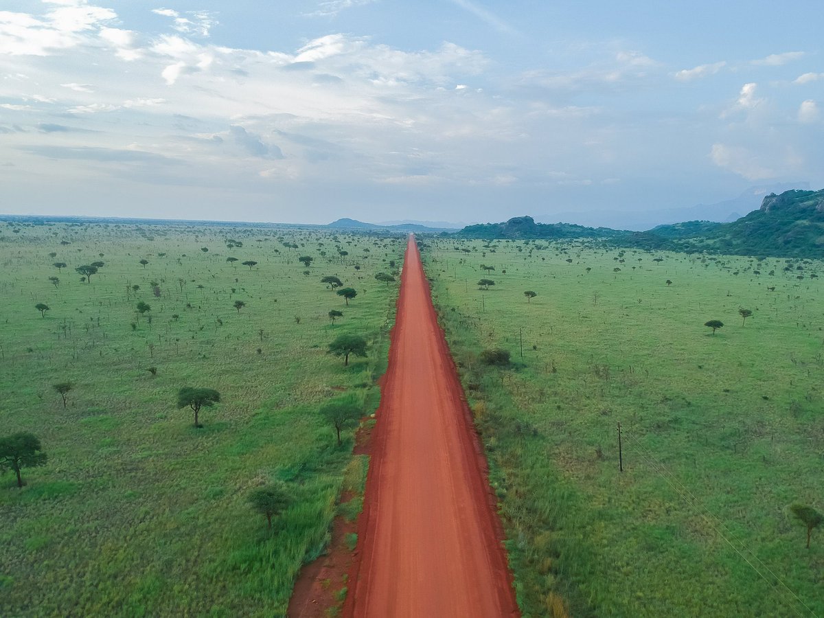 Davidz Ayesiga🇺🇬 tweet media