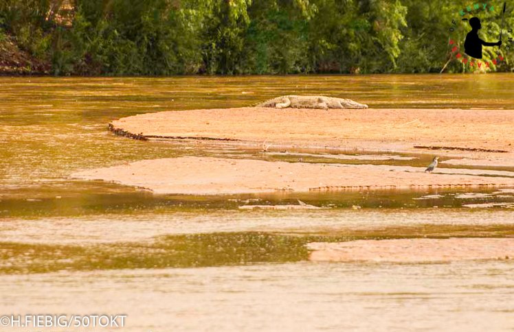 Treasures_Kenya's tweet photo. 🇰🇪 🇰🇪 Treasure Hunt Kenya Rivers: Athi - Galana - Sabaki 😍 👣⛵🛶🌴

On its arduous 390Km journey from the slopes of the Aberdare Range to Indian ocean, Kenya’s 2nd longest river undergoes incredible metamorphosis including carrying several names. 
#MagicalKenya #TreasureKenya https://t.co/tORKX88cg3