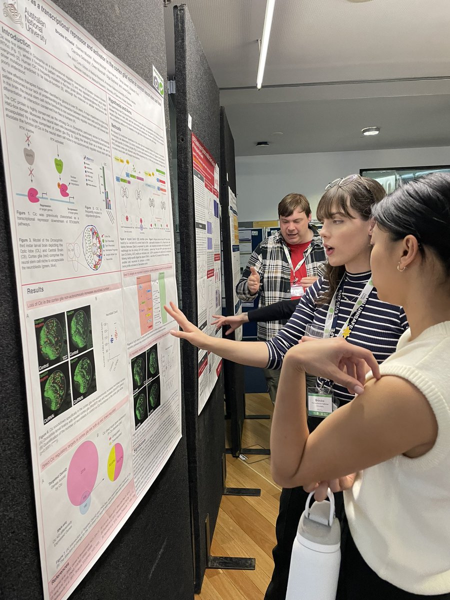 EMBLAustralia's tweet photo. A fantastic poster session tonight. Great to have students sharing their science in another format #EMBLAPhD https://t.co/uw2poNded5