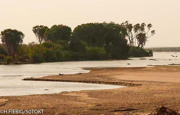 Treasures_Kenya's tweet photo. 🇰🇪 🇰🇪 Treasure Hunt Kenya Rivers: Athi - Galana - Sabaki 😍 👣⛵🛶🌴

On its arduous 390Km journey from the slopes of the Aberdare Range to Indian ocean, Kenya’s 2nd longest river undergoes incredible metamorphosis including carrying several names. 
#MagicalKenya #TreasureKenya https://t.co/tORKX88cg3