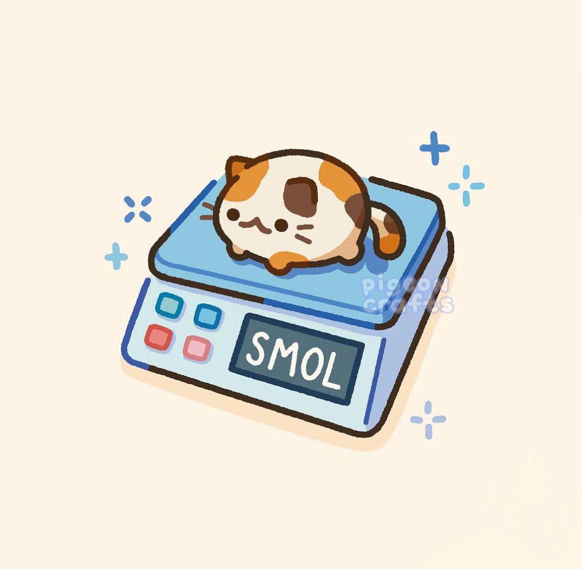 A tiny bean🤏🏻he fit on your finger🤏🏻