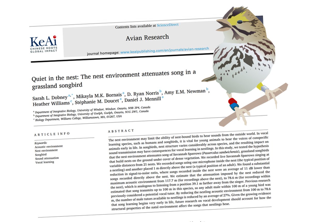 Dan Mennill tweet media