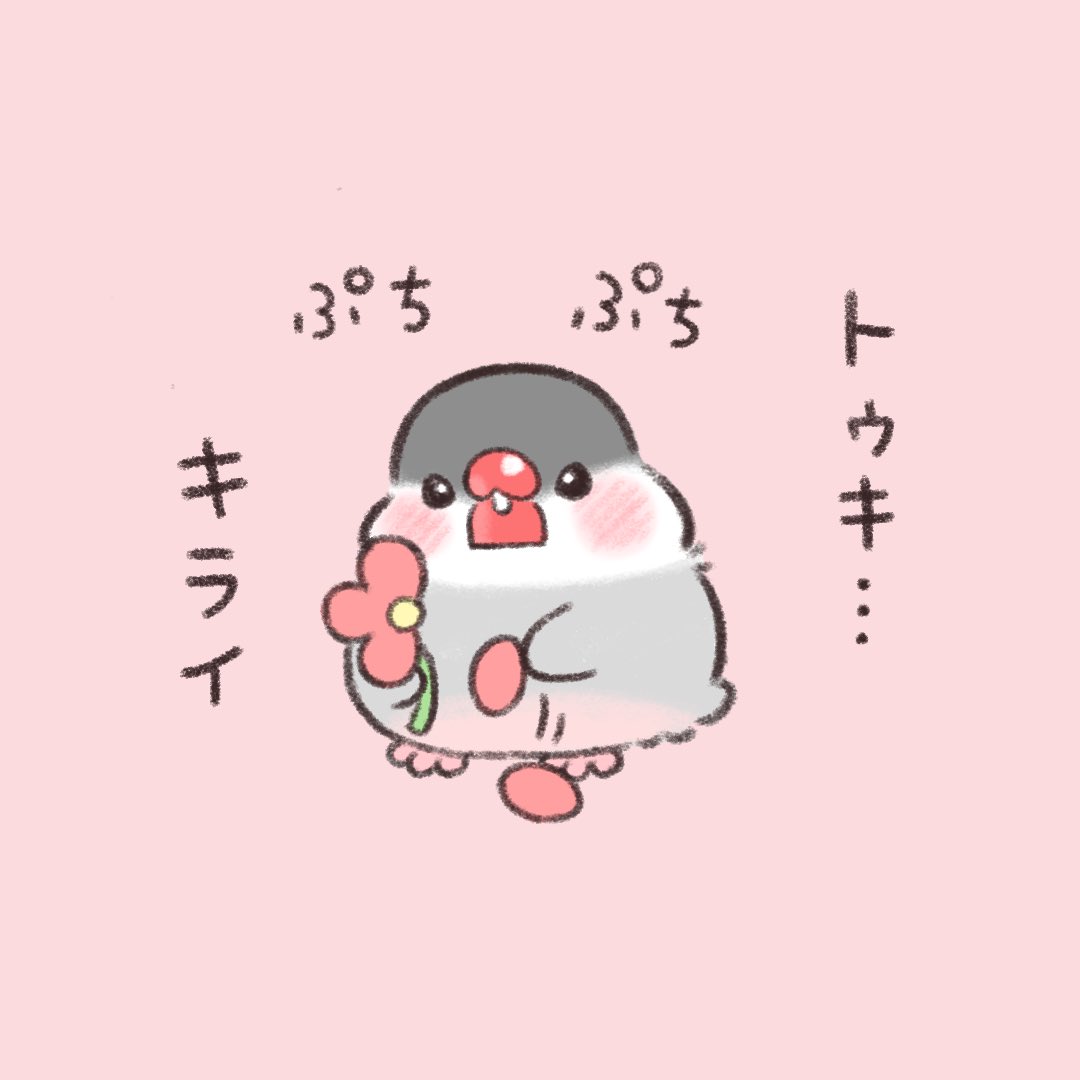 かいぬちのことが〜

#文鳥 