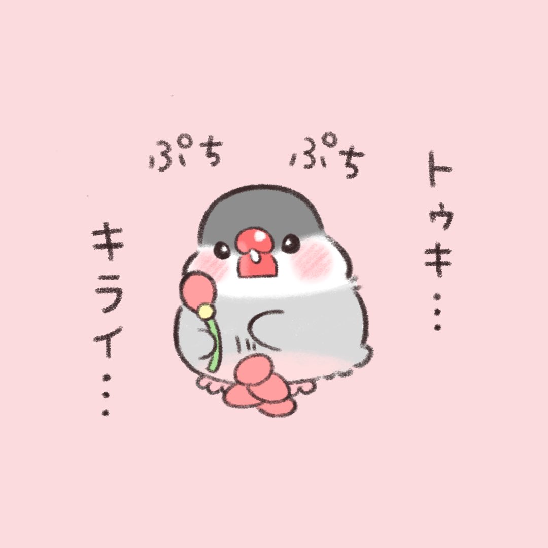 かいぬちのことが〜

#文鳥 