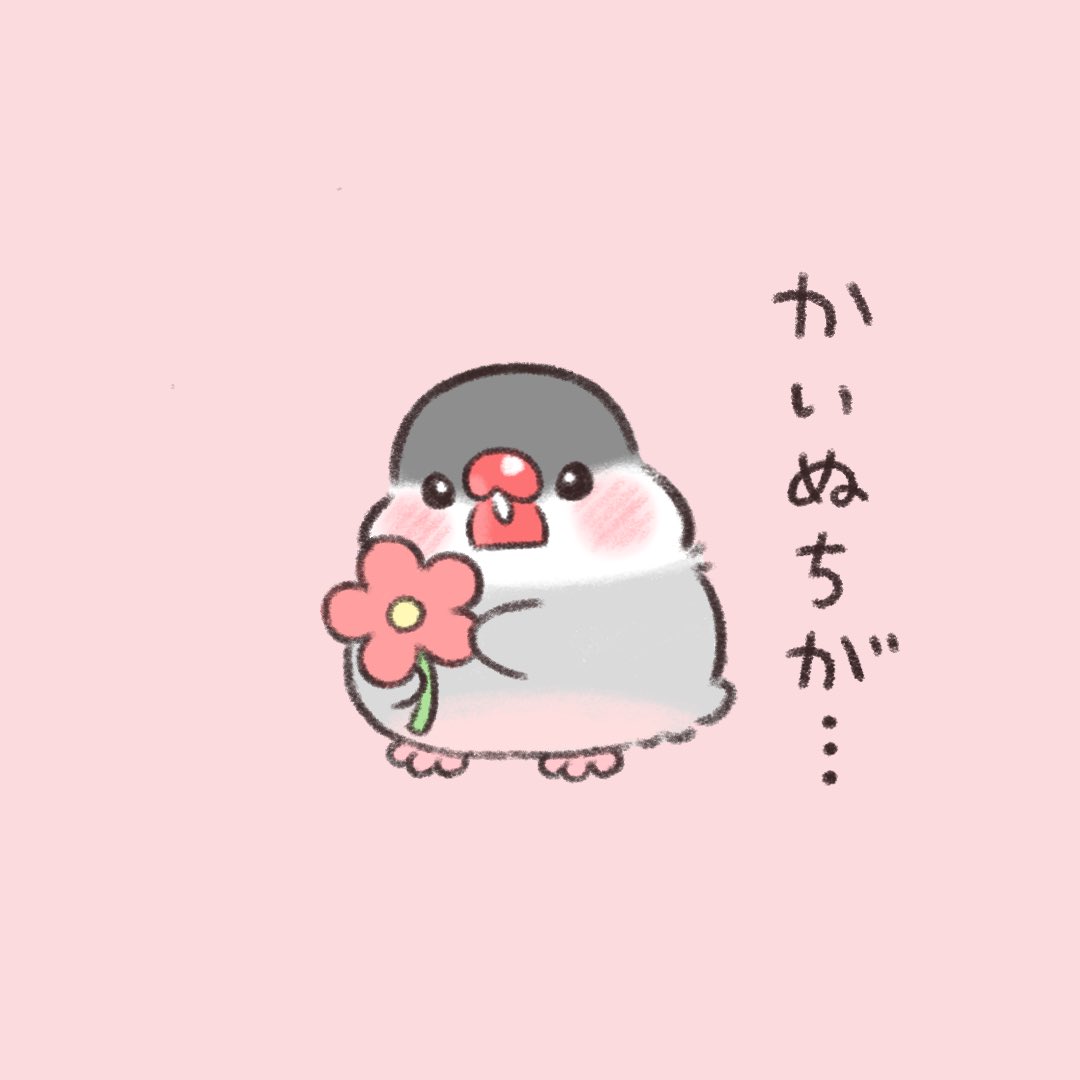 かいぬちのことが〜

#文鳥 