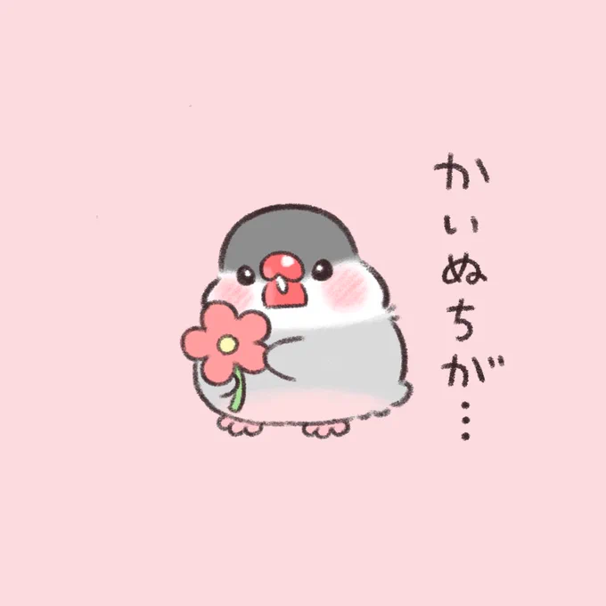かいぬちのことが〜

#文鳥 