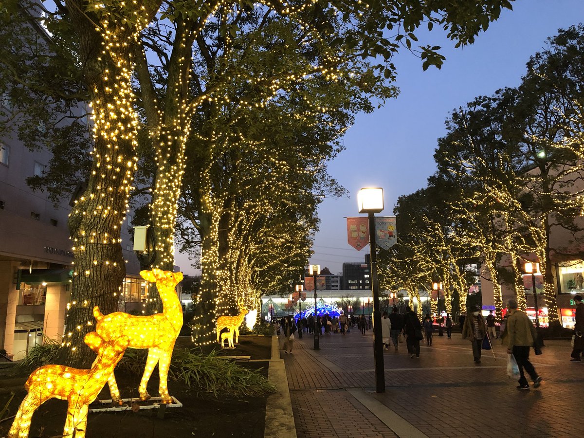 doiakane's tweet photo. https://t.co/hyoarNyLt1