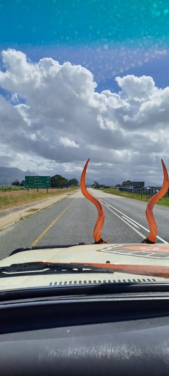 LuthandoSABTC⚡🇿🇦 tweet media