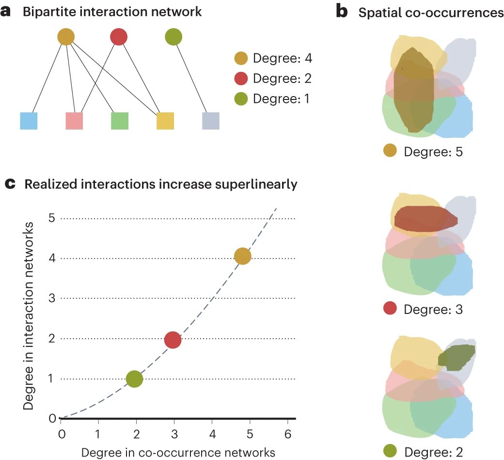 Isolating interactions from co-occurrences rdcu.be/dsier Co-occurrences can be proxies for interactions, but not all co-occurring species interact. A new study shows that super-generalist consumers realize more of their potential interactions in bipartite networks.