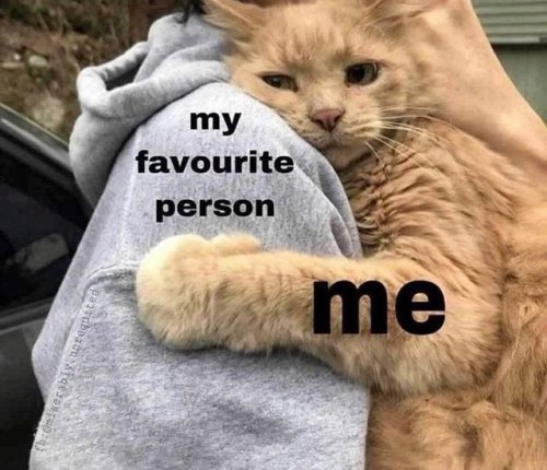 Why you should have a cat (@shouldhavecat) on Twitter photo 