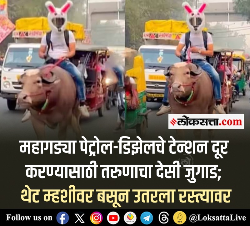 LoksattaLive's tweet photo. महागड्या पेट्रोल-डिझेलचे टेन्शन दूर करण्यासाठी तरुणाचा देसी जुगाड; थेट म्हशीवर बसून उतरला रस्त्यावर

https://t.co/lX2TMzu2k3   << येथे वाचा सविस्तर वृत्त 

#viral #viralvideo #buffalo #buffaloride #socialmedia https://t.co/nODJRAlcvF