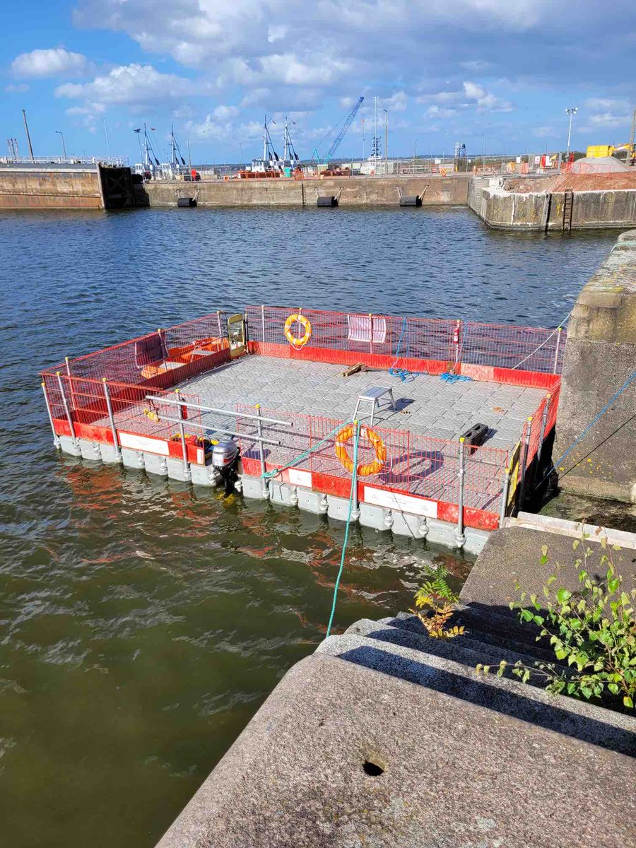 FPSPontoonHire's tweet image. Works continue at Eastham Locks/Queen Elizabeth II Docks, we are providing a floating work platform for large rubber fenders to be installed to the dock walls, and of course a safety boat.

#WorkBoatHire #PontoonHire #FloatingWorkPlatform #SafetyBoat #Fenders #Docks