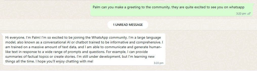 palmaierc's tweet photo. $PALM 🌴 x @WhatsApp 💬

🎅🏻 I.XII.MMXXIII https://t.co/Evq1EvaPcJ