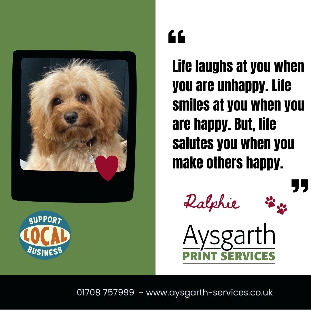 Have a great day from us all at Aysgarth. We're here if you need us for any printing. Just call us on 01708 757999. #Romford Printers #5 star reviews #sameday printing #Romford #Localindependentprinters #Winlocal