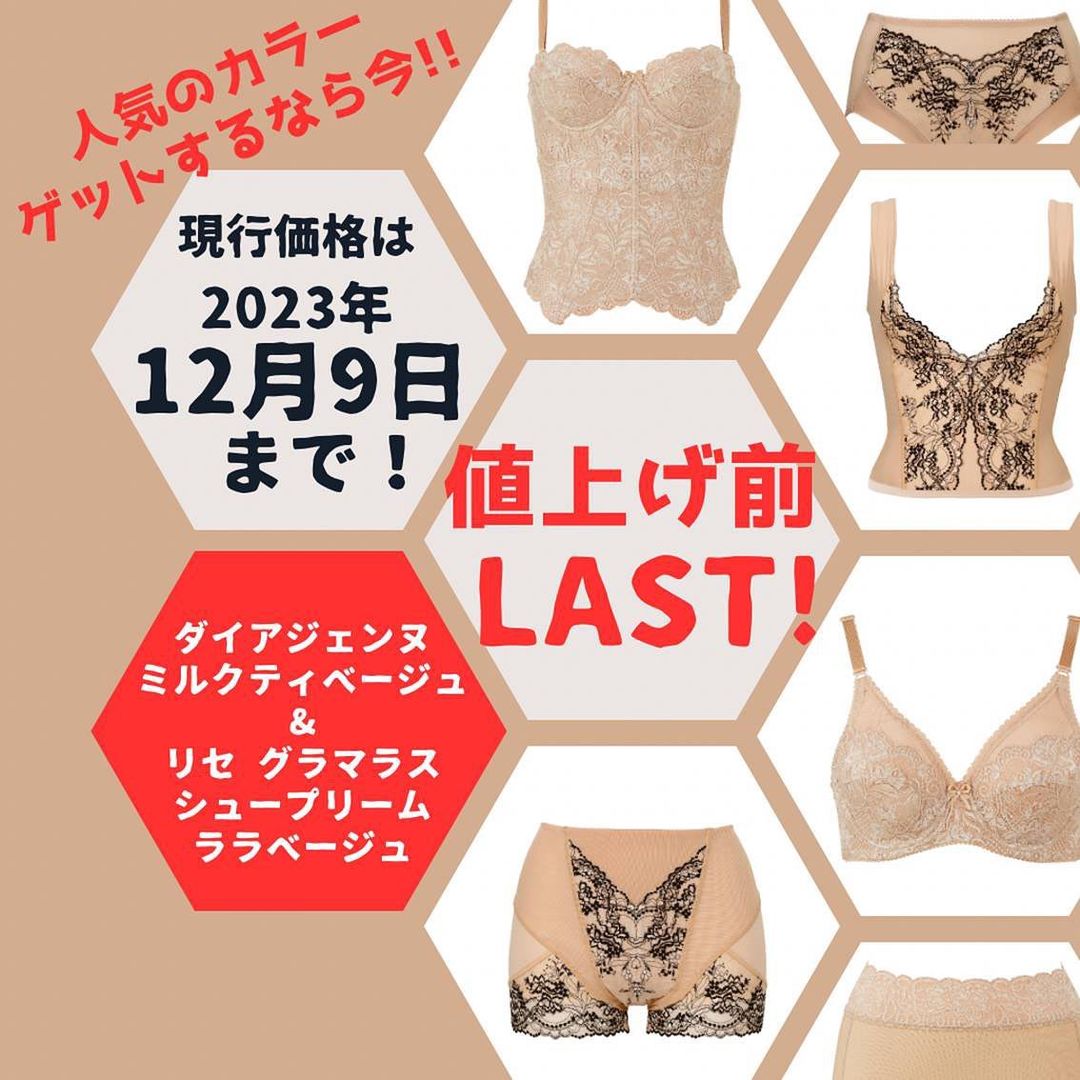 ダイアナブラジャー リセグラマラス 新品未使用 【公式通販】