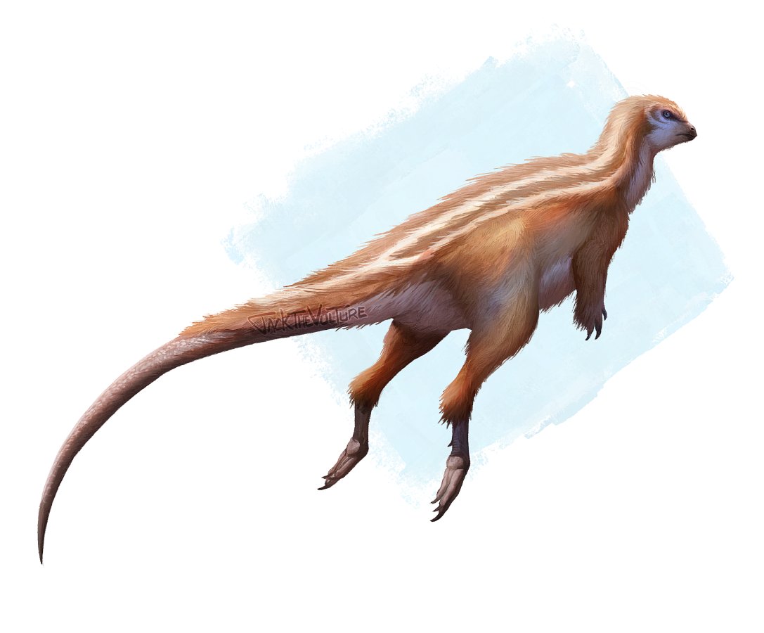 This could use some more work and the process was not ideal because I was playing w brushes in krita before switching to csp but im lazy and I like it enough anyway so :) Hexinlusaurus because I love lil basal ornithopods.
