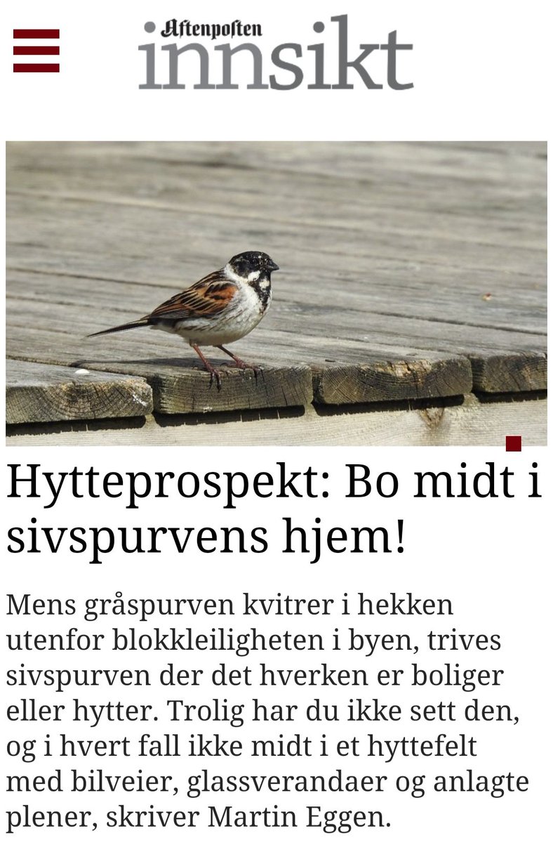 MartinEggen's tweet photo. HYTTEBYGGING, MYR OG SIVSPURV 🐦
- Naturen kan redde oss, men først må vi redde naturen. Lederen av FNS miljøprogram (Unep), Inger Andersen. Da må vi redde myra!
@WWFNorge @FIVH @Fuglevern @Naturvern @SABIMAnorge #reddmyra
Les hele teksten i @apinnsikt ↙️
https://t.co/vUBayD8wS6 https://t.co/90pkukTgjF