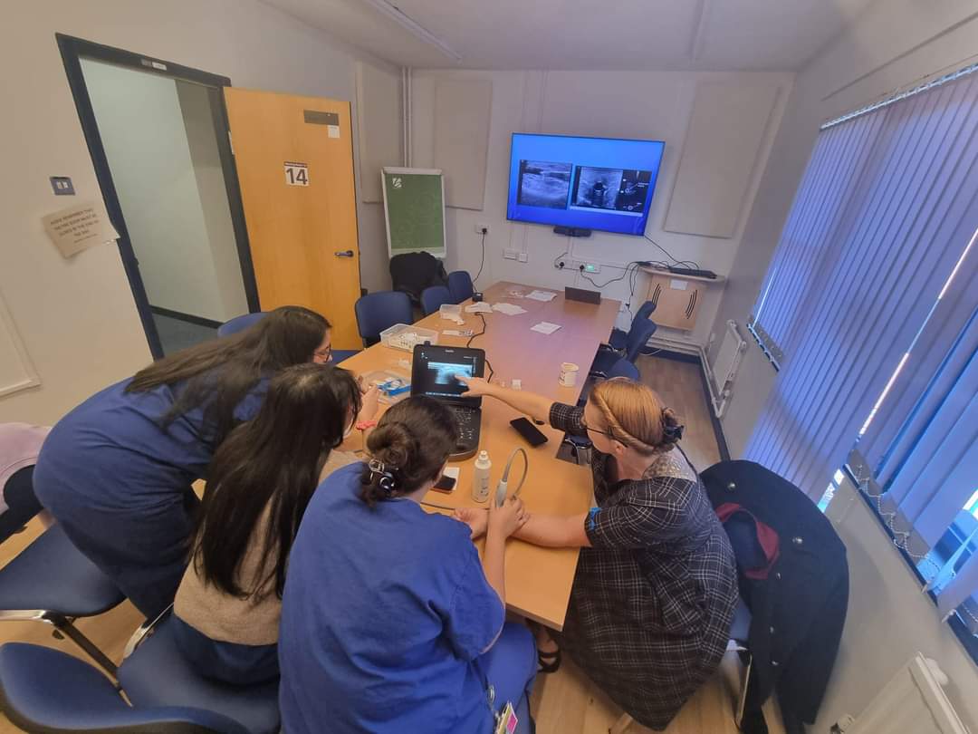 Excellent sessions on USS guided cannulation  from <a href="/hestraining/">Hestraining</a> for the <a href="/uhbtrust/">University Hospitals Birmingham</a> #extendedsurgicalteam