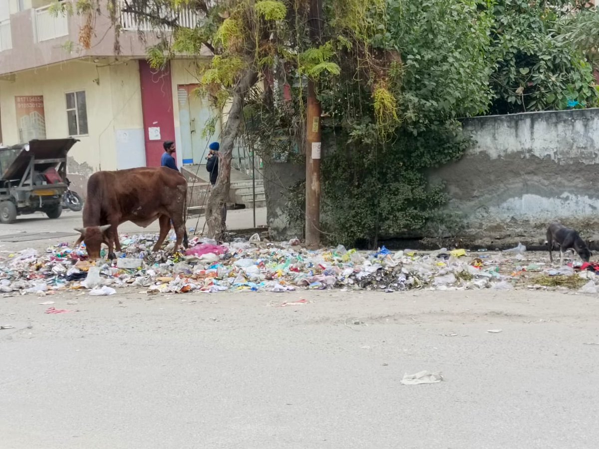 Manishsriv007's tweet photo. @noida_authority @CeoNoida @dmgbnagar @CMOfficeUP Sir in front of our office D313 Sector63 Noida local people daily throw waste spread all over the area around Authority garbage never collect this on daily basis as result waste pollution we facing in front of our comp once again https://t.co/4UpJdMhV0D