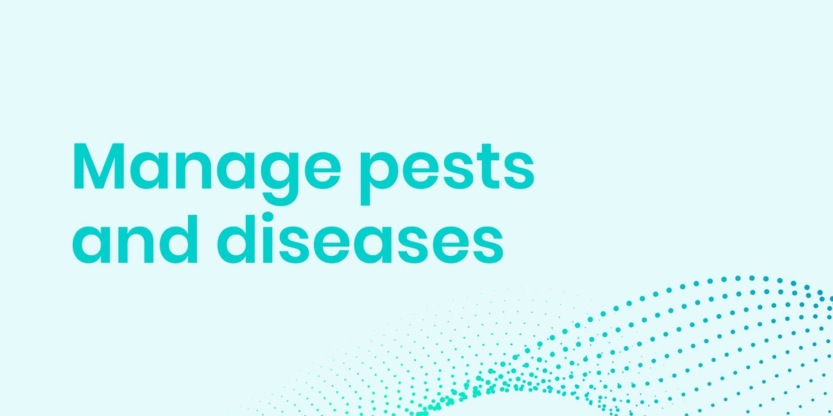 SyngentaBiolog's tweet photo. What are the #biologicals? 
They are solutions designed for #farmers to maintain outputs, quality and margins while keeping an eye on the health of the environment. Find out more in our infographic! https://t.co/go4HOCDxSA