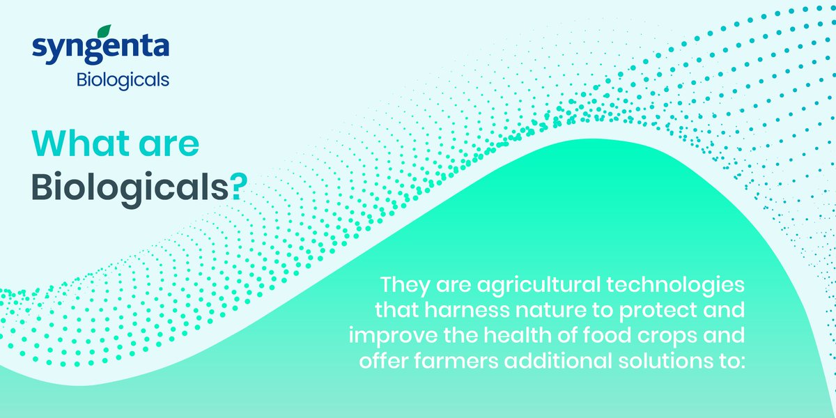 SyngentaBiolog's tweet photo. What are the #biologicals? 
They are solutions designed for #farmers to maintain outputs, quality and margins while keeping an eye on the health of the environment. Find out more in our infographic! https://t.co/go4HOCDxSA