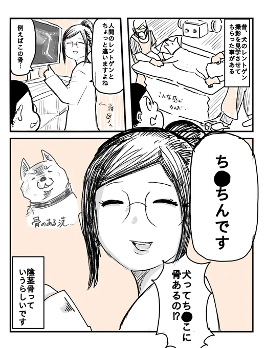 (1P漫画)犬のレントゲン 