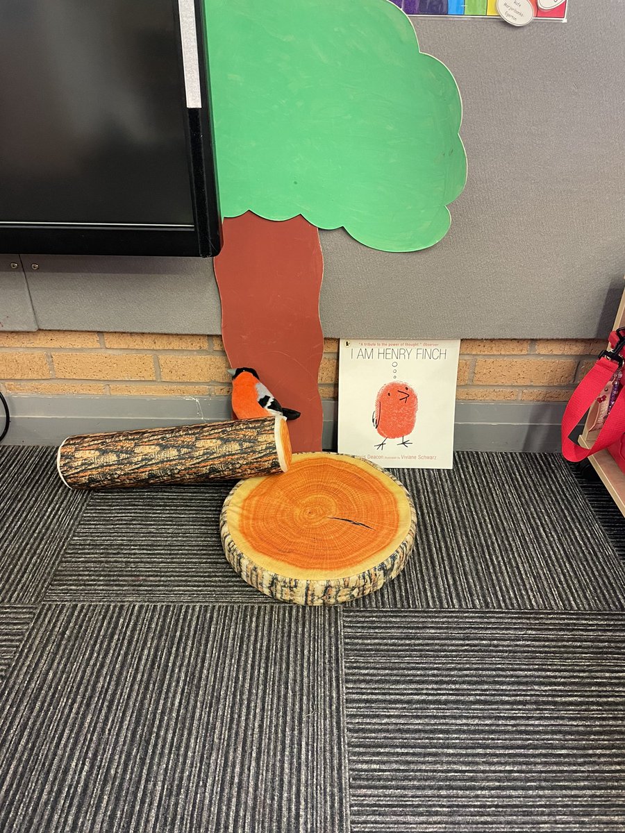 StPhilipsRCC's tweet photo. We arrived in school to find a tree some branches and a bird. Linked to our new story ‘I am Henry Finch’. #teamstphilips https://t.co/UVTyfyTEAe