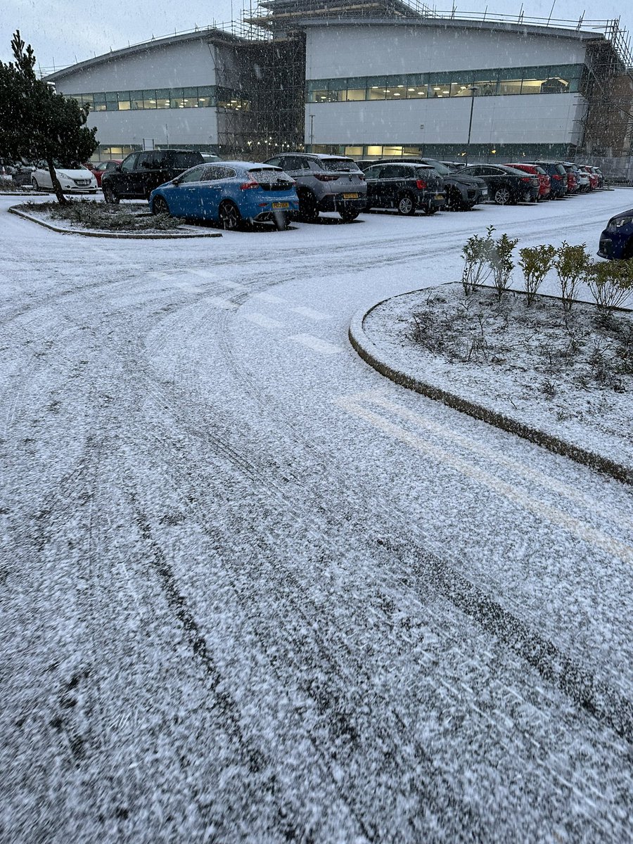 Leanne Campbell tweet media