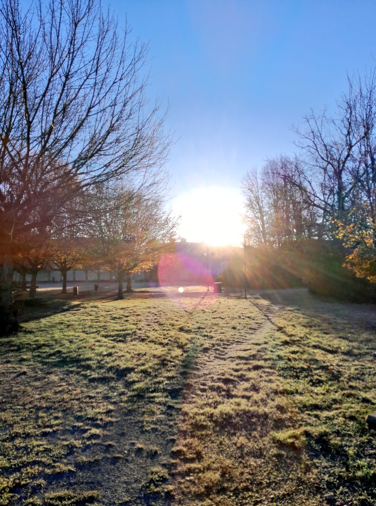 Un altro giorno 
Smarrisce le incertezze
Il sole splende.

FG 📸

#VentagliDiParole 
#InHaiku