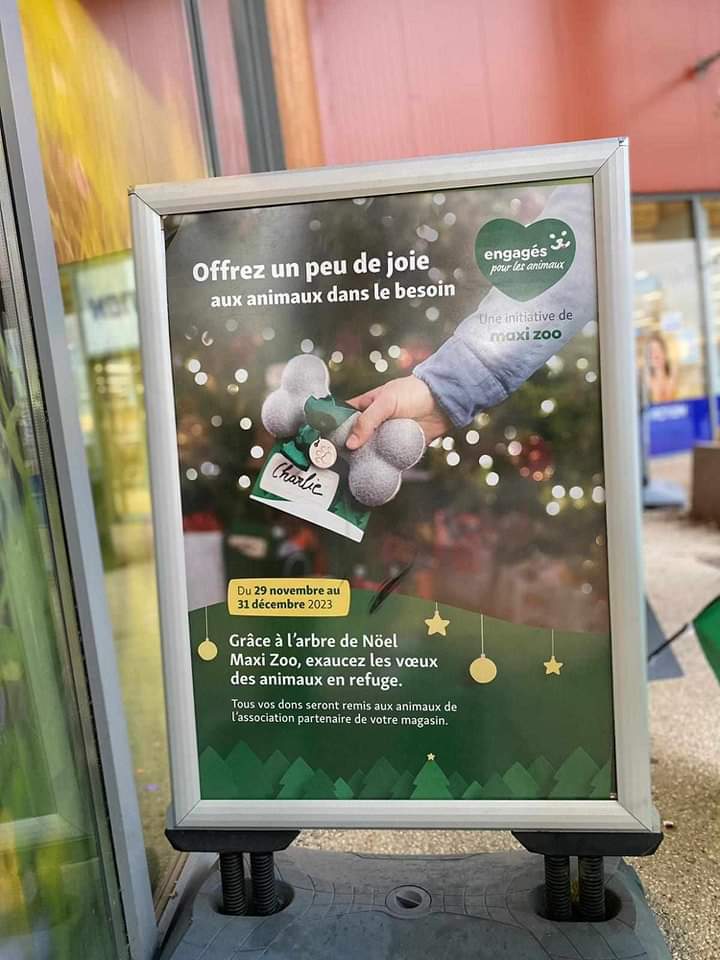 adnquarouble's tweet photo. Bonjour
Nous remercions ❤️ le magasin Maxi zoo aulnoy lez Valenciennes(59300) qui organise une collecte au profit de nos protégés du 29/11 au 31/12/23
Vous pouvez déposer vos achats effectuer en magasin au pieds du sapin situé à l entrée 😁
Merci à tous ceux qui y participeront https://t.co/9rQwrOHpdZ