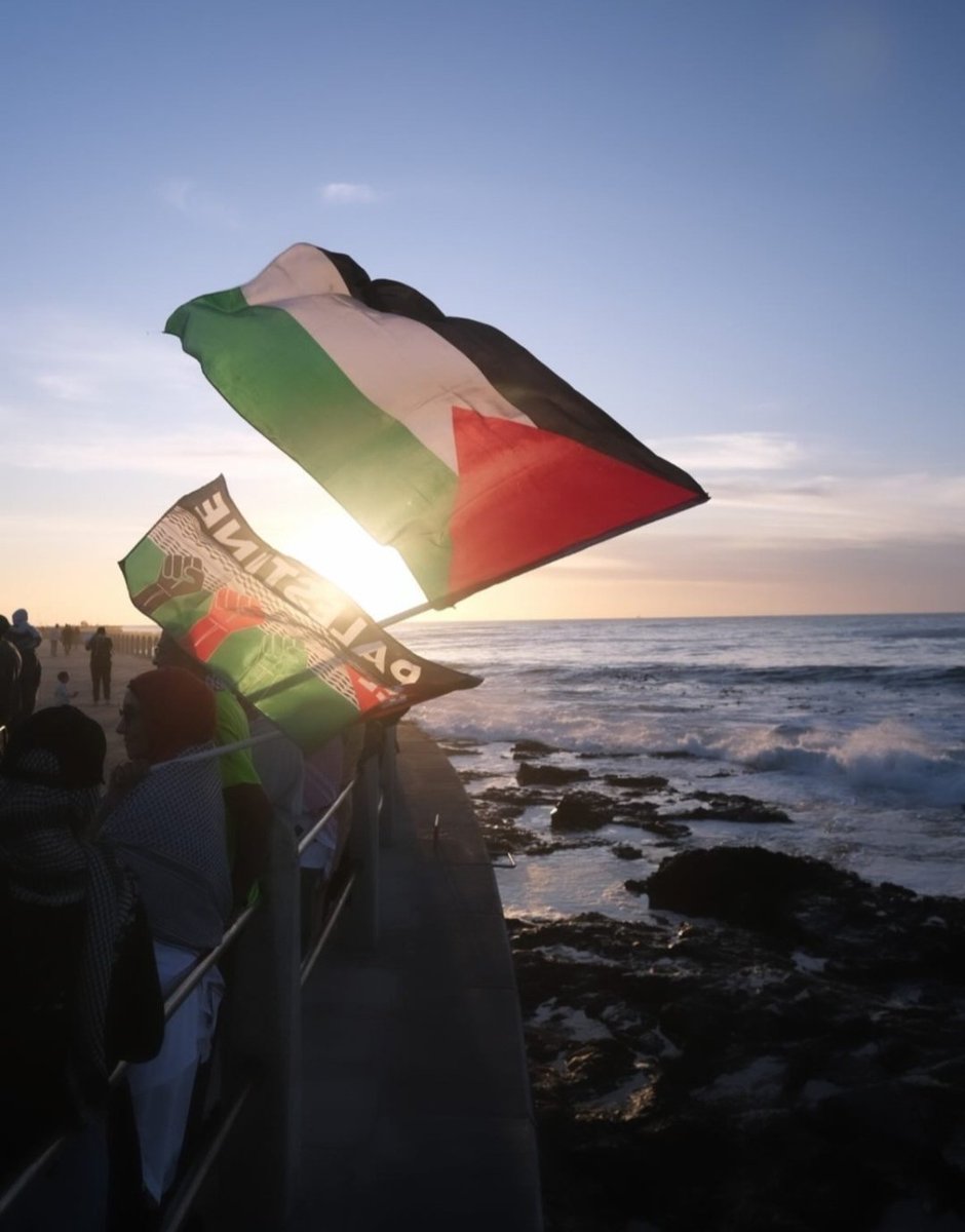 From the river to the sea....🇿🇦🇵🇸