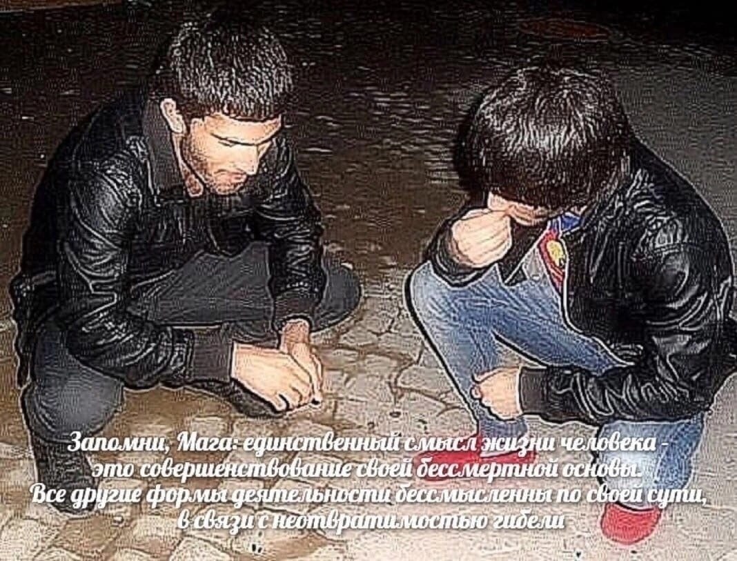 Peko tweet media