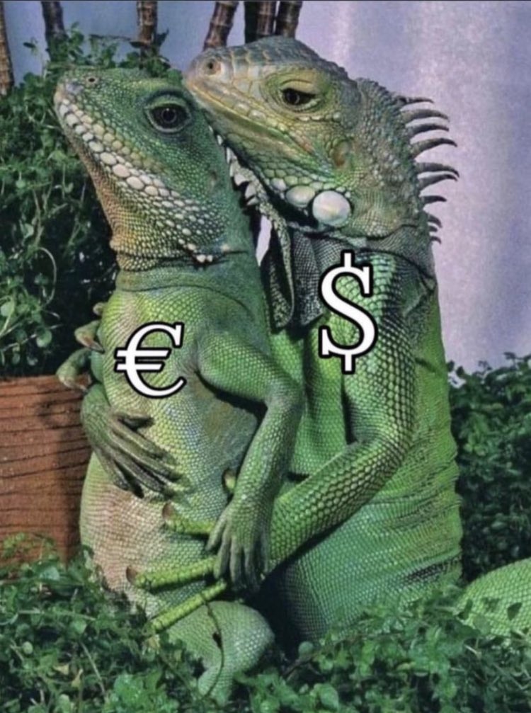 flyh1ghway's tweet image. ‼️ Calling all #Creepz OGs🦎 
Just spotted the rise of @Portalcoin in our community! 
As an early lizard, I still feel the energy from fellow @Overlord_xyz

Let's show $portal that we are the driving force , and @Portalcoin is #OneOfUs! 💪🚀

#CreepzStrongerTogether