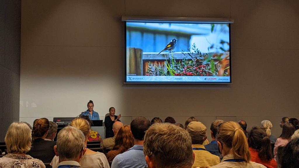 Thank you to everyone who came along to my presentation at @AOC2023BRISBANE in Meeanjin (Brisbane)! It was such a fantastic session and a real pleasure to be sharing my work in person 😊
#AOC2023 #Conference #Research #SciComm #UrbanBirds #BirdsInBackyards