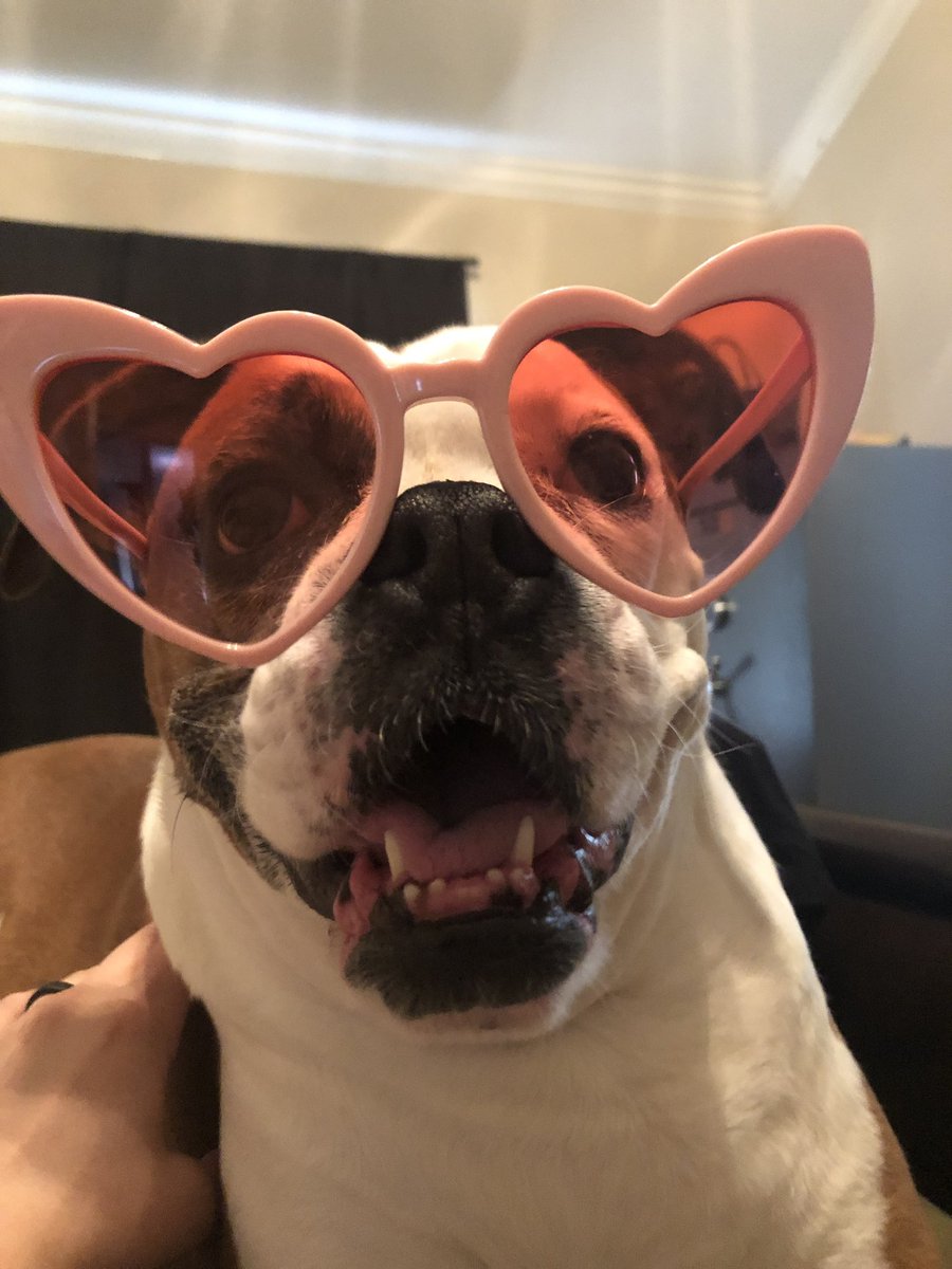 harleelynn1's tweet photo. @Pbk777 My favorites https://t.co/6zJSfH5d9I