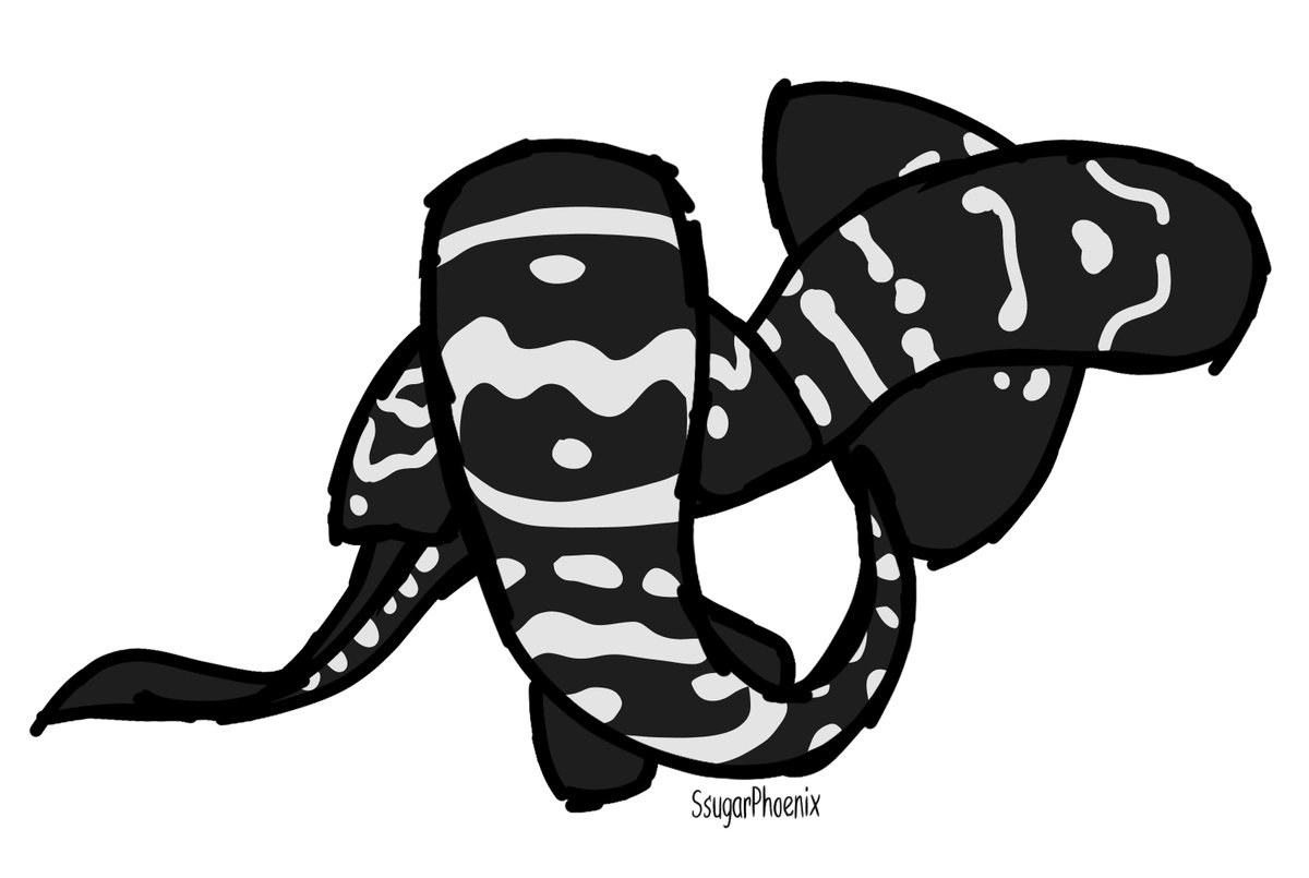 sSugarPhoenix's tweet image. oof i've got art block so that sucks but i tried doing a bit of drawing yesterday and made a zebra shark sticker :D #digitalart #fyp #zebrashark