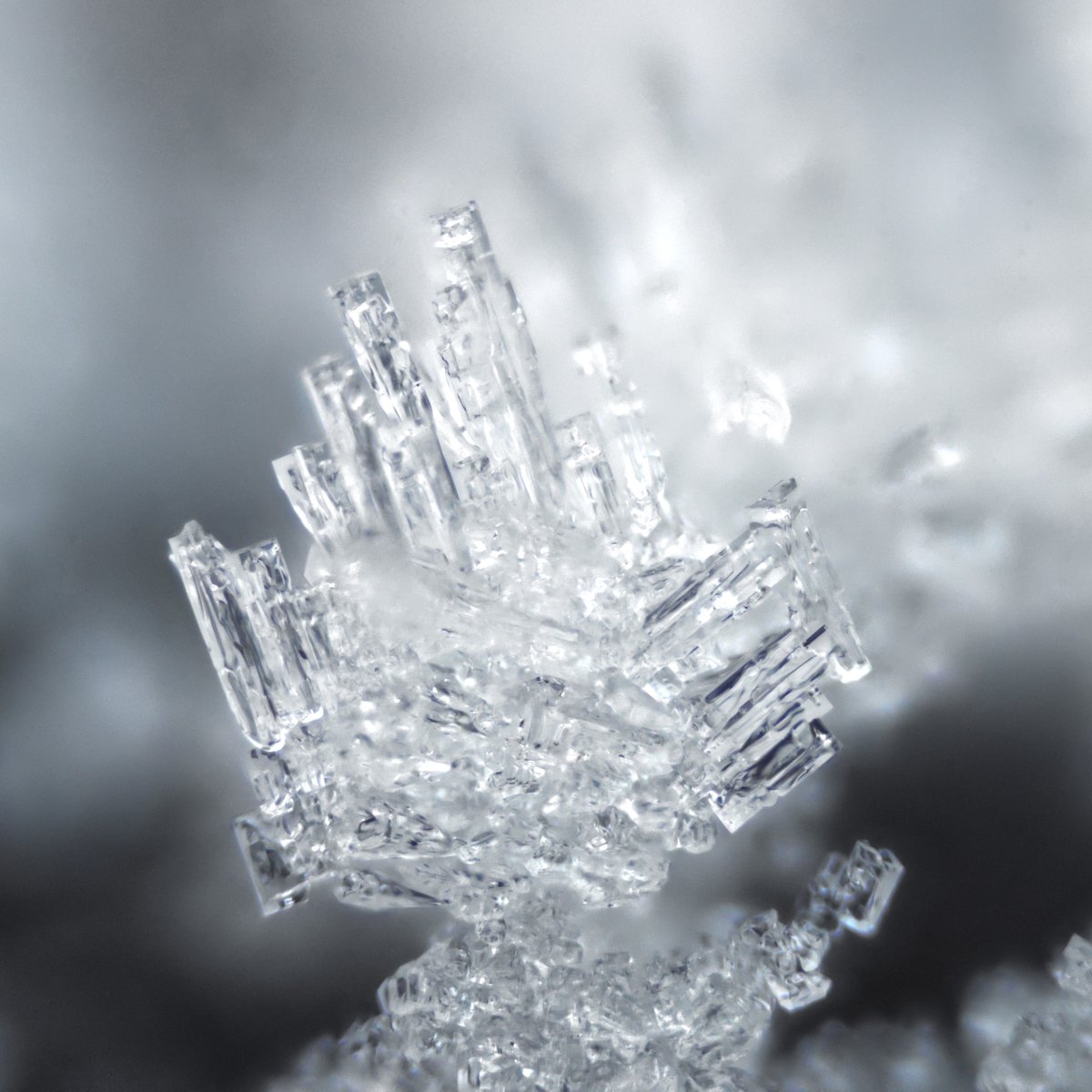 Ice crystal

#macrophotography
