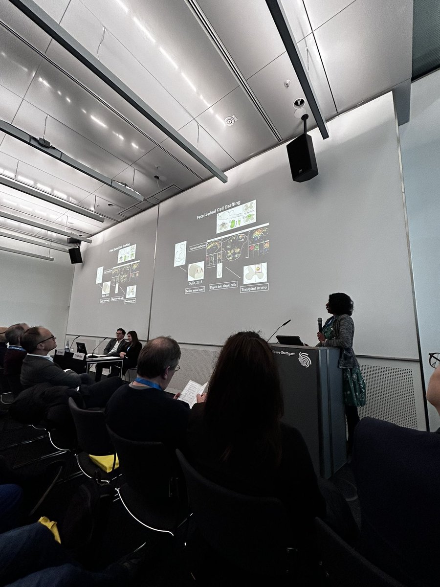 Peter Vajkoczy (@vajkoczy) on Twitter photo Spine Science Symposium at #dwg2023 a huge success proofing broad interest in experimental spine research #spinescience <a href="/dwg_spine/">DWG (Deutsche Wirbelsäulengesellschaft)</a> congratulations to organizers 👏 for having such a packed room Spine Science Symposium at #dwg2023 a huge success proofing broad interest in experimental spine research #spinescience <a href="/dwg_spine/">DWG (Deutsche Wirbelsäulengesellschaft)</a> congratulations to organizers 👏 for having such a packed room