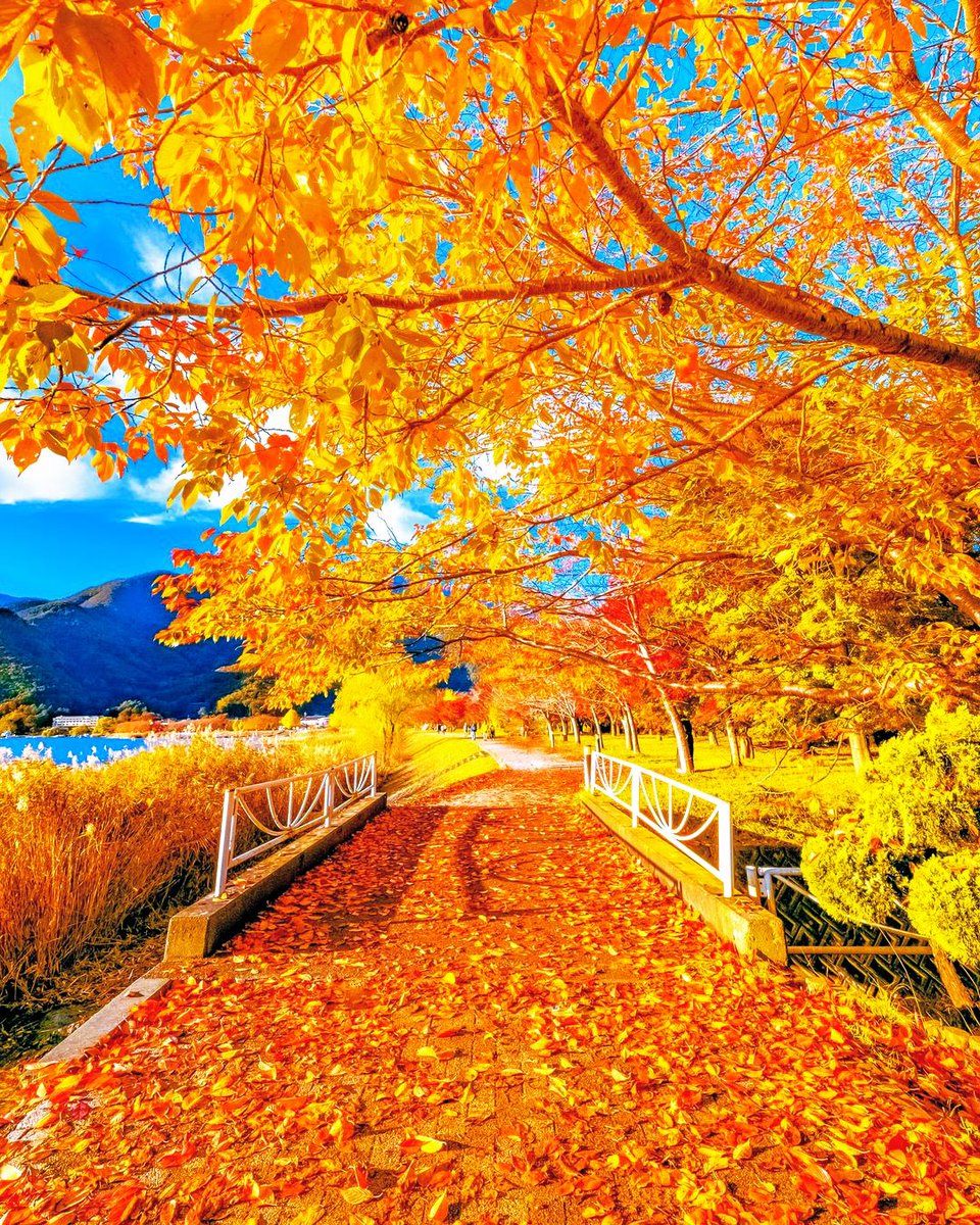 9HUrne5nPVQ7p5h's tweet image. I hope you have a calm day today too.🍁🍂🍁🍂🍁🍂🍁🍂🍁🍂🍁
◡̈*🍓.°⑅◡̈*🍐.°⑅◡̈*🍓.°⑅◡̈*🍐.°⑅◡̈*🍓.°⑅◡̈*🍐.°⑅◡̈*🍓.°⑅◡̈*🍐.°⑅◡̈*🍓.
📸Yohei Furue,#IG, #Japan,#Autumn