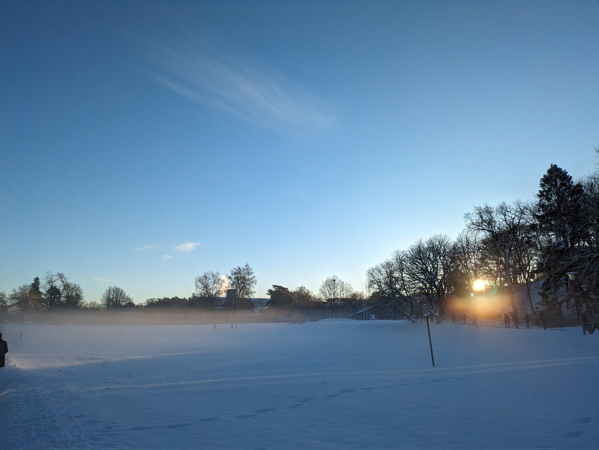 Our beautiful @Stockholm_Uni campus this morning. Talking about #snow tomorrow at the annual @BolinCentre meeting. #Stockholm @LandscapeSthlm