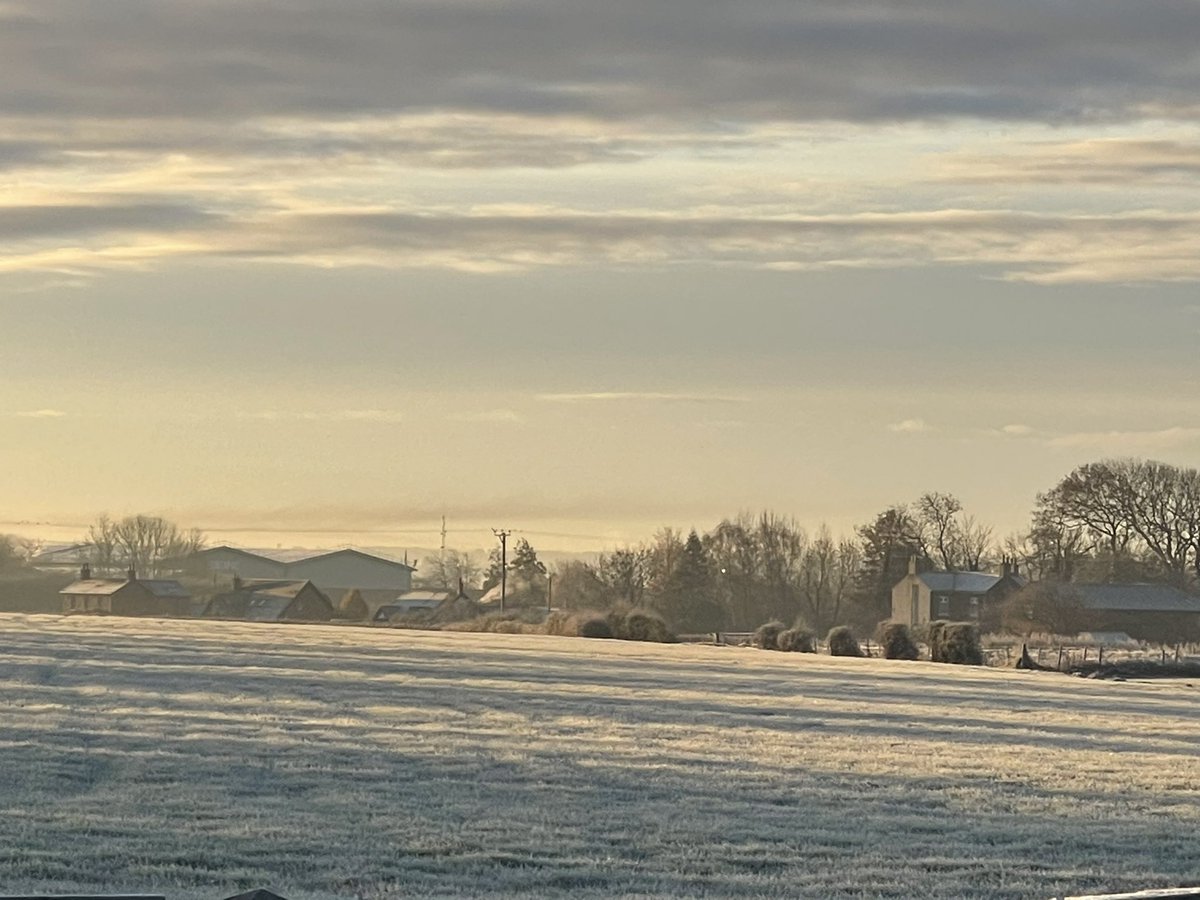 Sarahbrentley2's tweet image. Happy Wednesday peeps. It’s a beautiful day to have a beautiful day 🥶🔥💖
#Wednesday #frosty #coldoutside #Happiness #beautiful