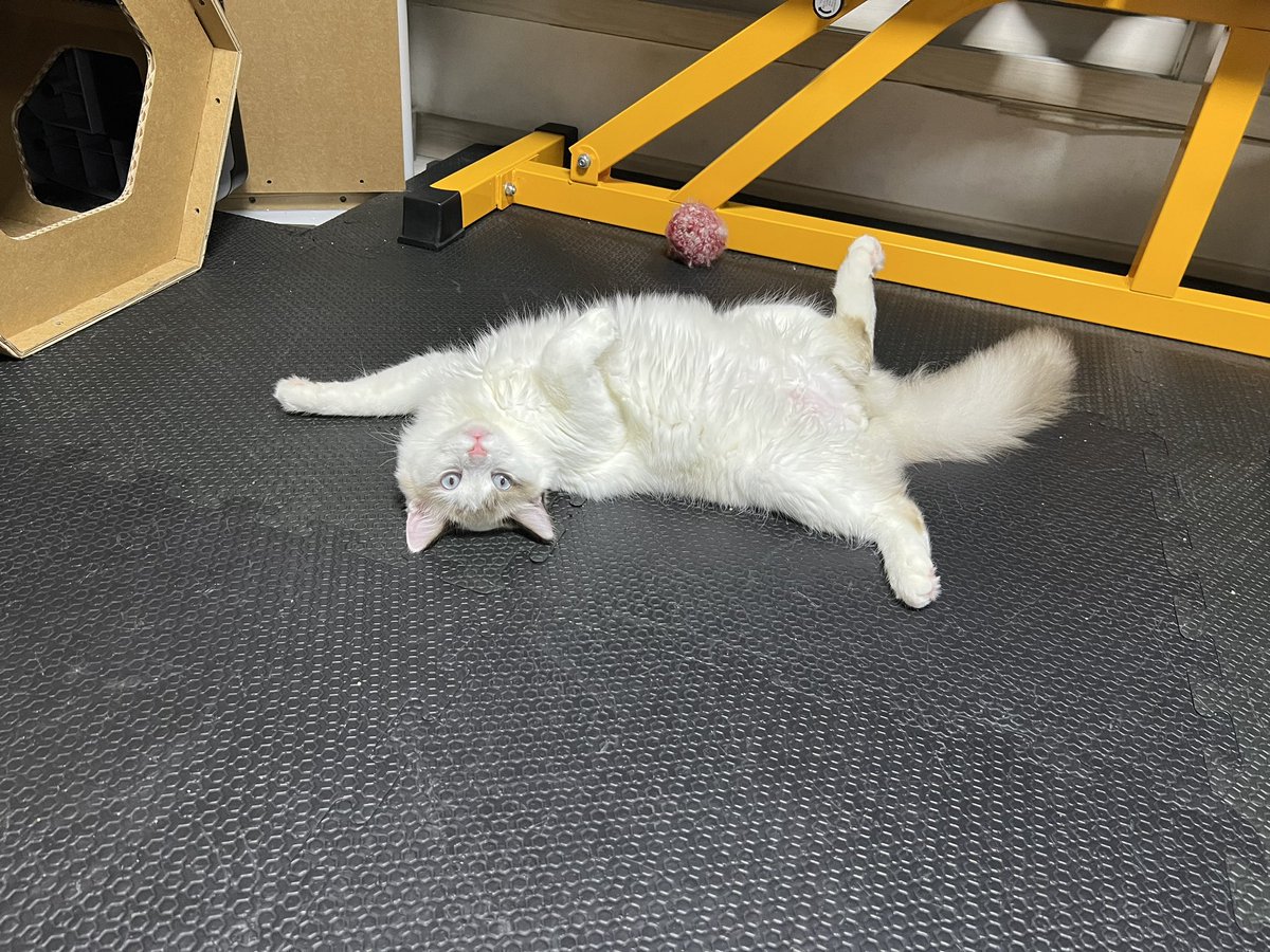 3fhdg's tweet photo. 무한자랑 https://t.co/N7OjeSK3Vq