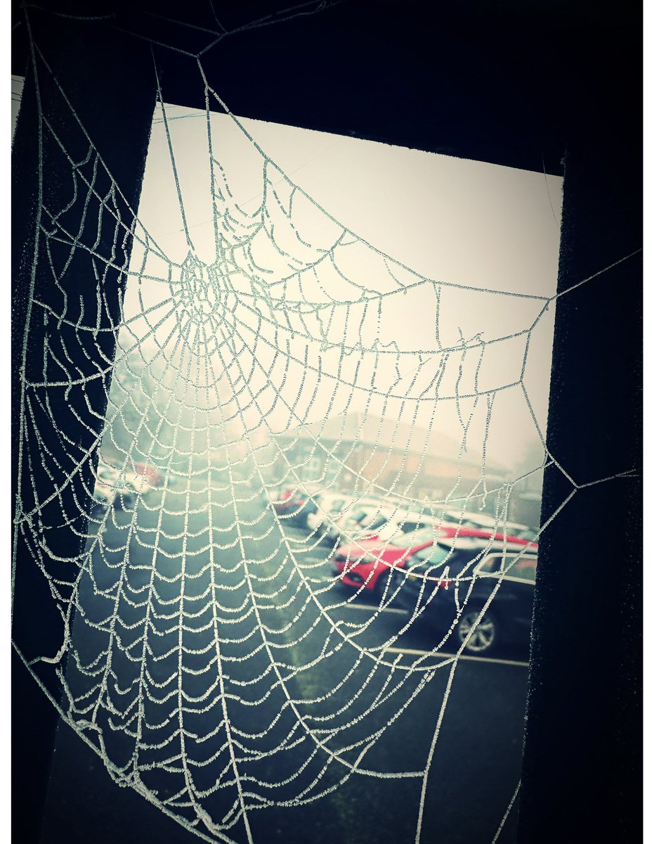 Winter has officially arrived 🥶❄️ Make sure to wrap up warm 😊