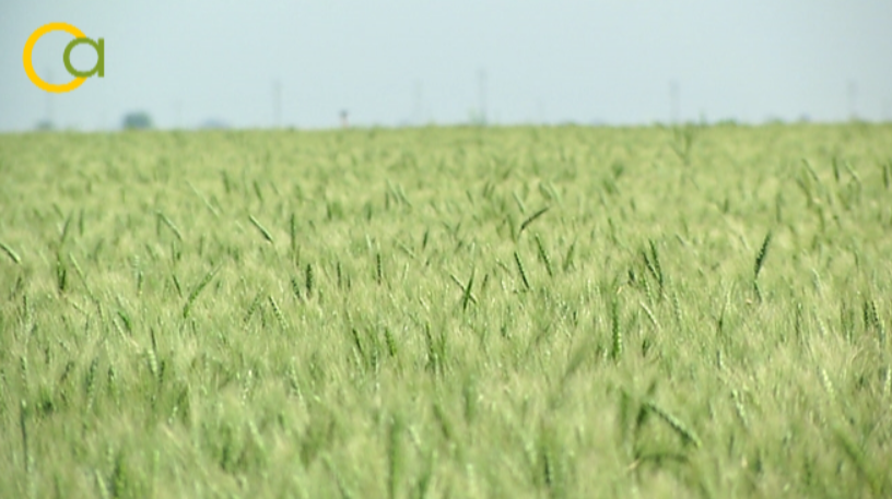 CuadernoAgrario's tweet photo. 🔴El @mapagob amplía la cuantía de las subvenciones destinadas a la obtención de avales de #SAECA👩🏻🌾🚜💶
+INFO➡️https://t.co/DDZOrUouJY https://t.co/tp043mxSUL