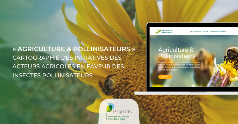 Phyteis's tweet photo. L’Association #ContratDeSolutions lance le site internet « Agriculture &amp; Pollinisateurs », avec pour objectif de valoriser les initiatives en faveur des #pollinisateurs 🐝

Initiatives identifiées par un comité de recensement supervisé notamment par l'@INRAE_France ✅