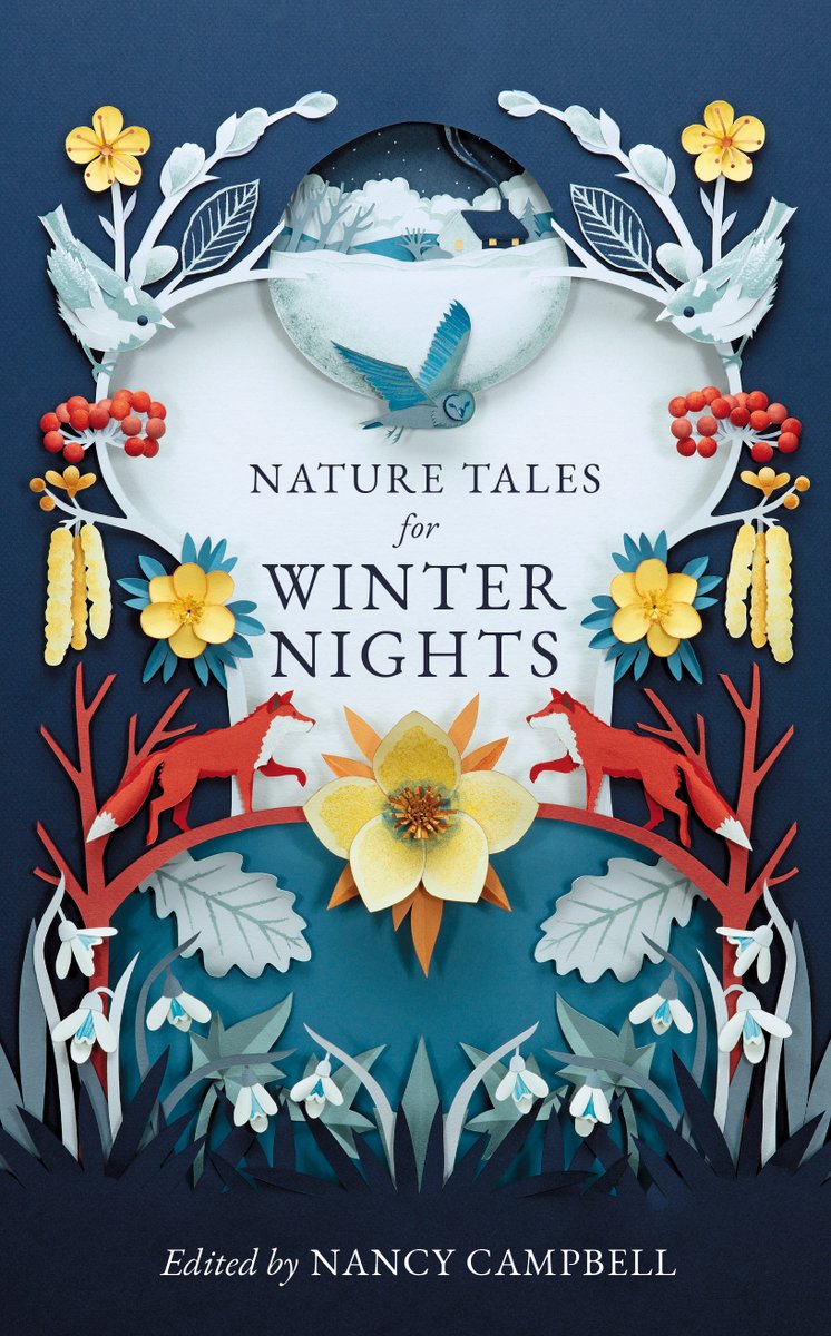 In November & December Booktime, we interview author and editor Nancy Campbell and cover designer Helen Musselwhite @paperhelen about Nature Tales for Winter Nights, a beautiful collection of writing on the themes of nature and winter. #ChooseBookshops #BooksAreMyBag