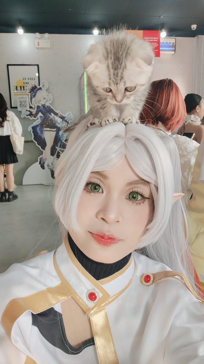 chienrito16's tweet photo. Bé moè xinh quá 
Cho thơm bạn nữ cái nào
#meow https://t.co/6J2mlYzbQ4