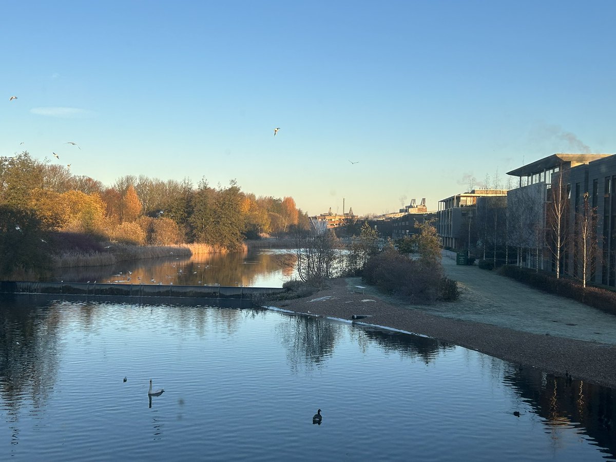 AABiologists's tweet photo. We are ready to go for @BS_PP @DefraGovUK sponsored FraxNet Ash Health network meeting!
It’s chilly lovely day here on Nottingham Jubilee campus! #AABTrees https://t.co/zHBUfIQua1