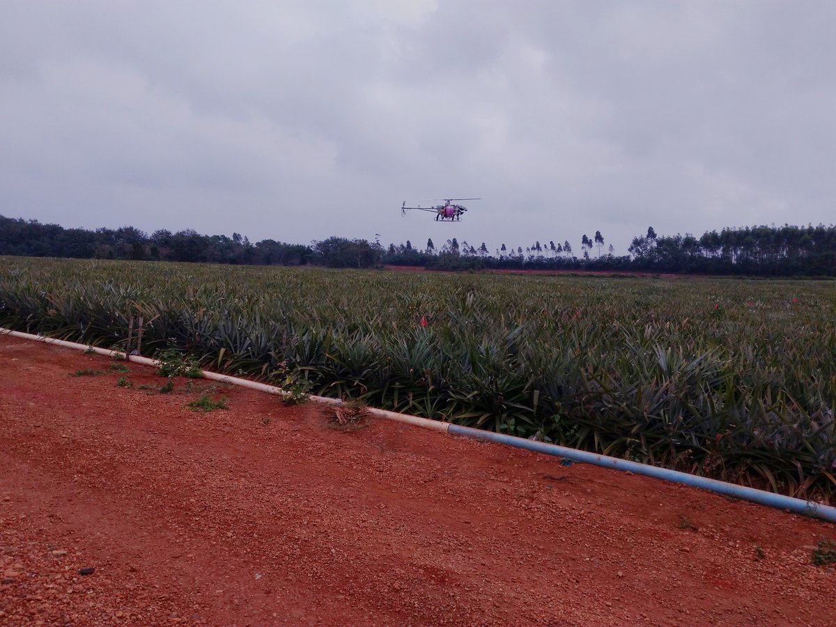 chufangagri's tweet photo. We can jointly promote the development of agriculture and always develop and cooperate with the latest agricultural technology to support the productivity of farmers.
#agronegocios #dronetechnology #bestdrone #dronefarm #droneprecios #commercialdrones #uavfarming #uav https://t.co/ISsPw8UBCE