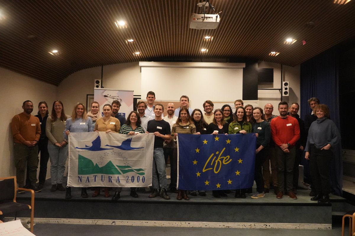 SafeLines4Birds's tweet photo. 🐦#SL4B co-hosted with @Renewables Grid Initiative the Connecting Biodiversity workshop in Berlin. 🦅🔌 
 
Do you want to learn more about the event? Read our press release here. 👇
https://t.co/Z7j2mdqsBF 
Stay tuned more is coming! 👩‍💻 https://t.co/iPauB1AYO2
